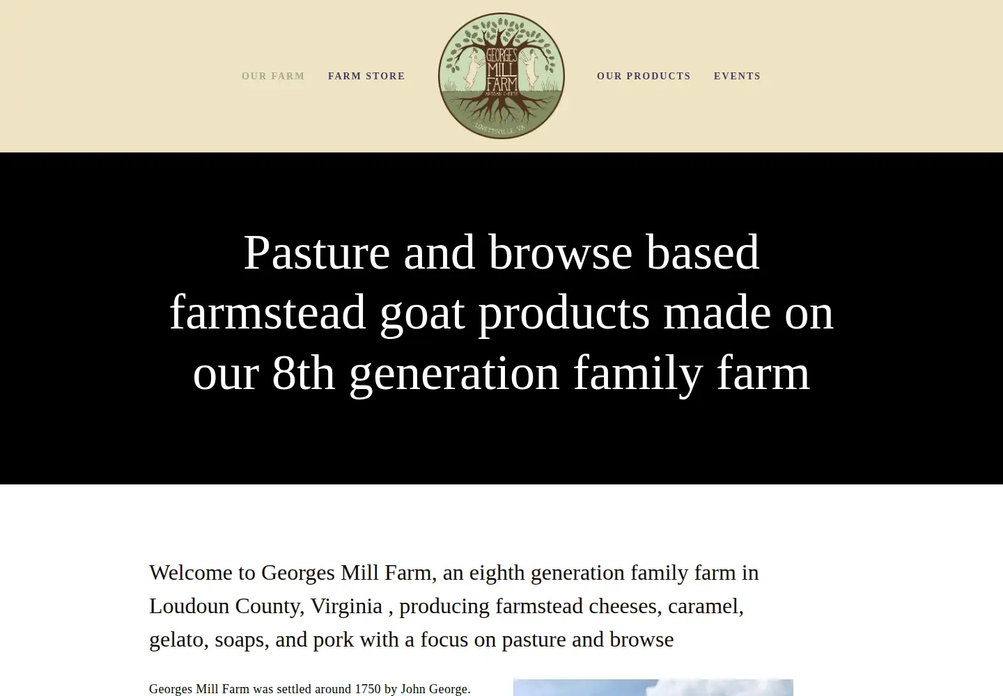 Captured homepage of georgesmillcheese.com in the current scan