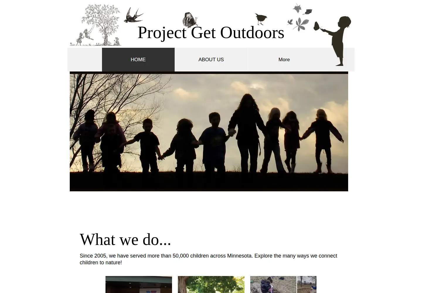 Screenshot of mnprojectgo.org