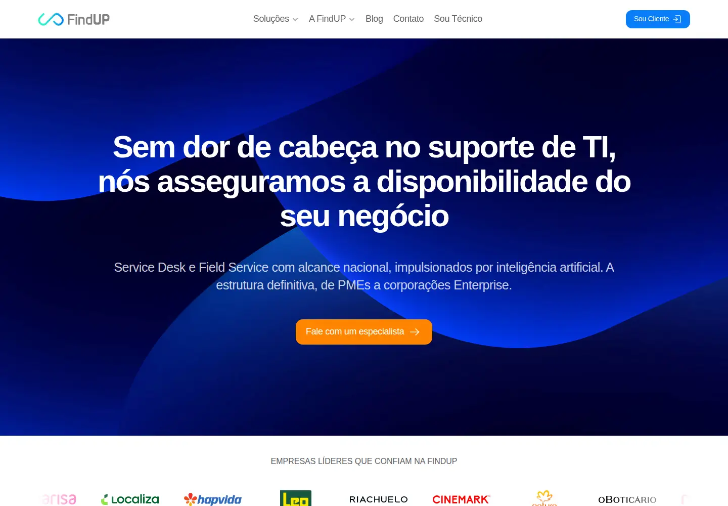 Captured homepage of findup.com.br in the current scan