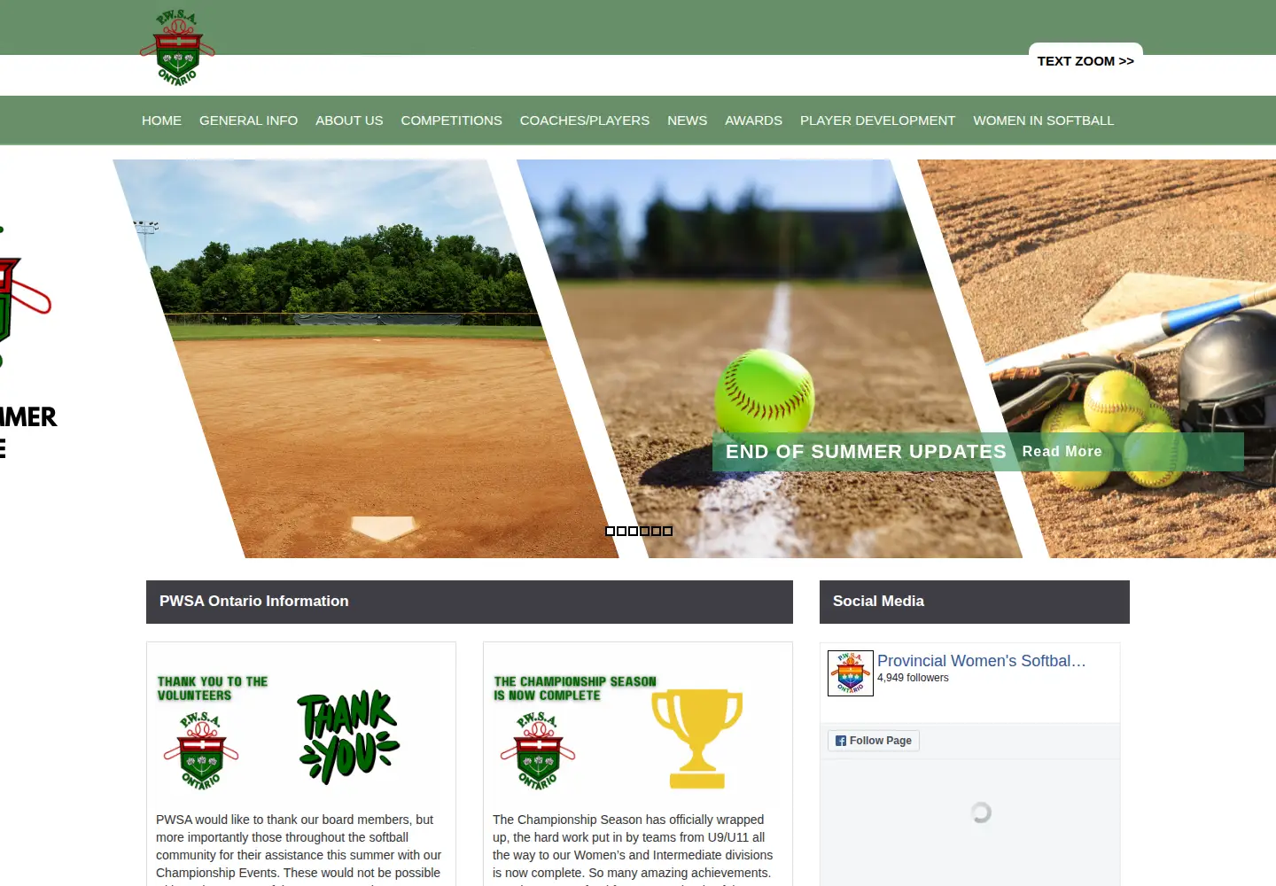Screenshot of pwsaontario.com
