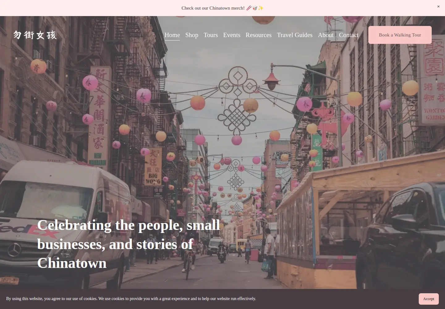 Screenshot of mottstreetgirls.com