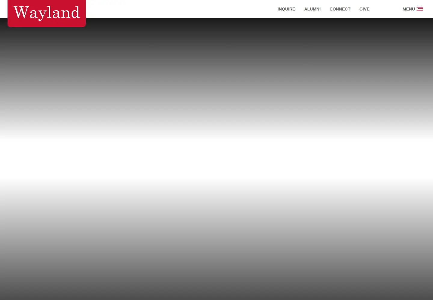 Captured homepage of wayland.org in the current scan