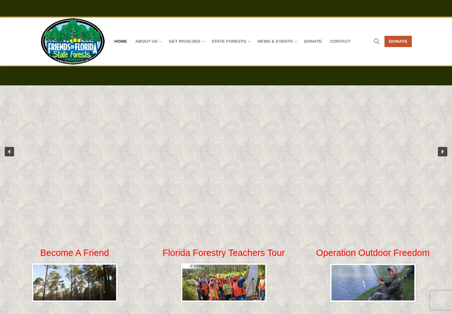 Screenshot of floridastateforests.org