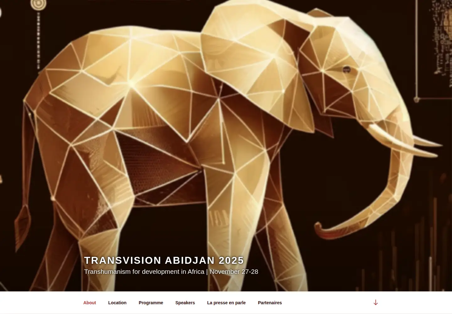 Captured homepage of transvision-conference.org in the current scan
