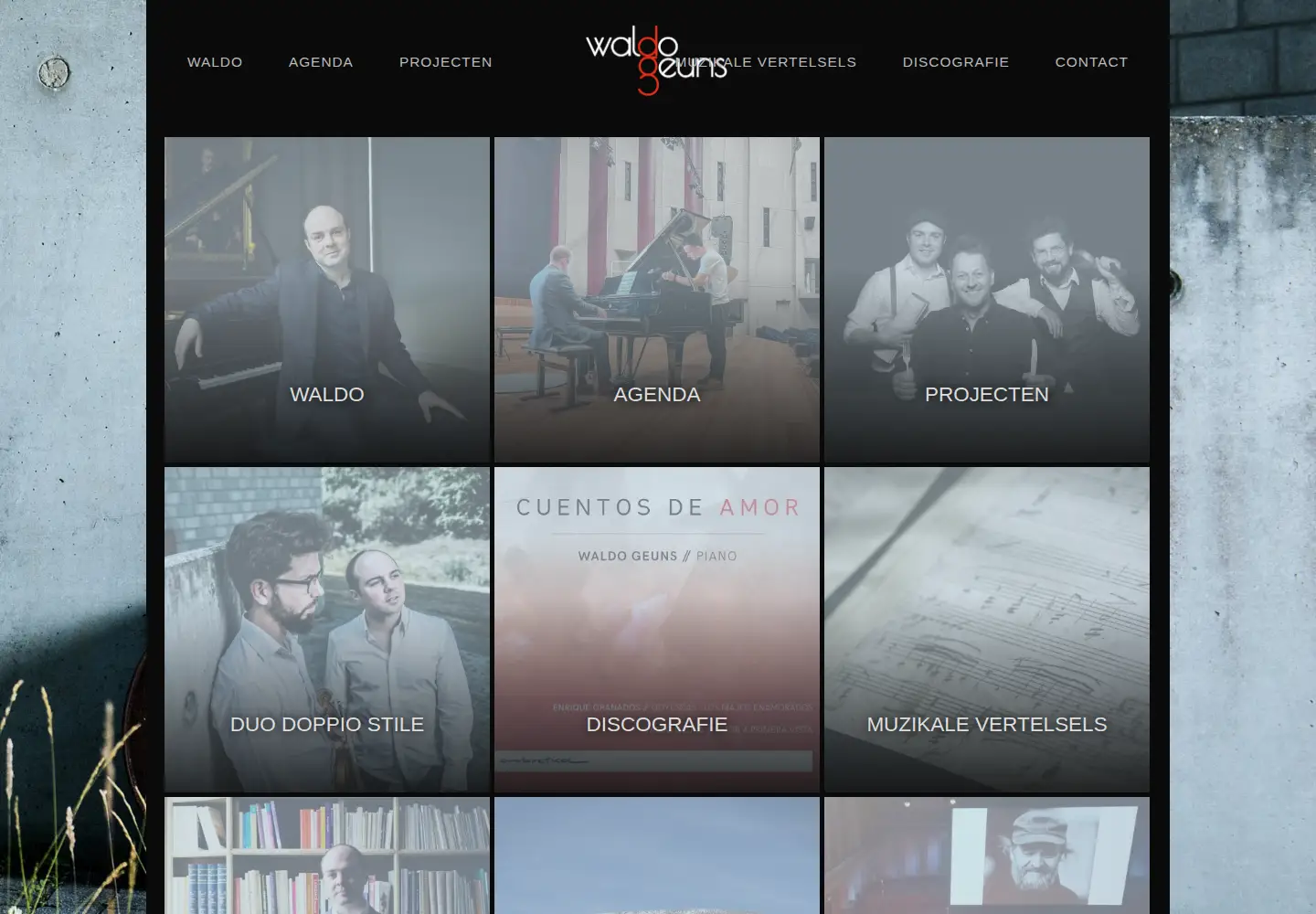 Screenshot of waldogeuns.com