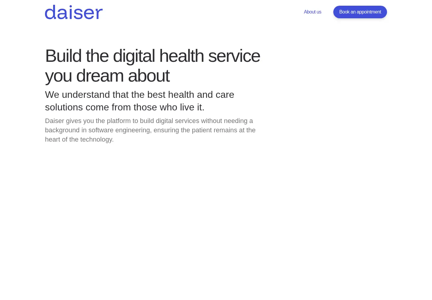 Captured homepage of daiser.com in the current scan