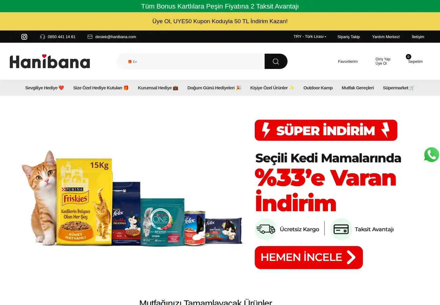 Captured homepage of hanibana.com in the current scan