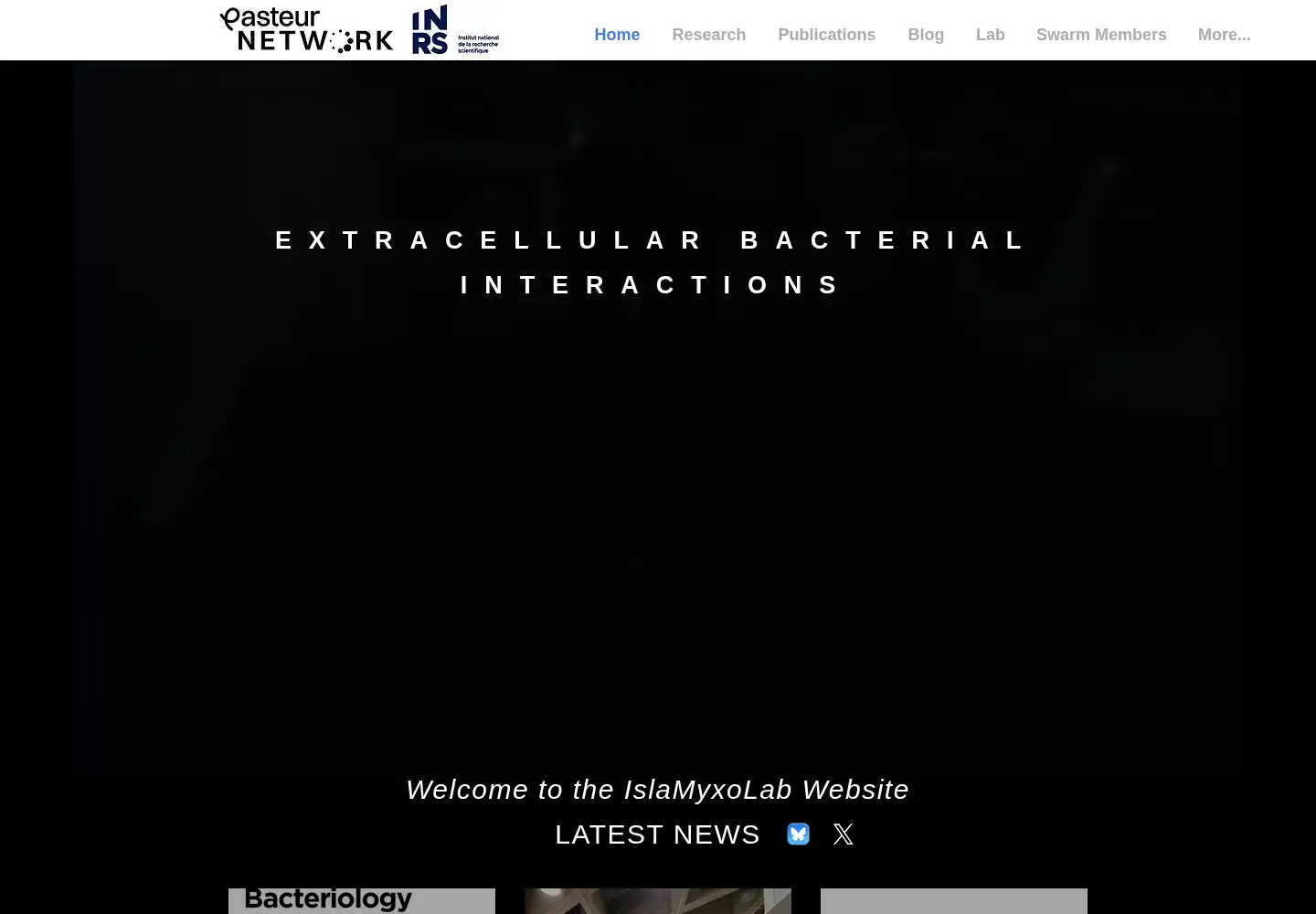Captured homepage of islamyxolab.com in the current scan