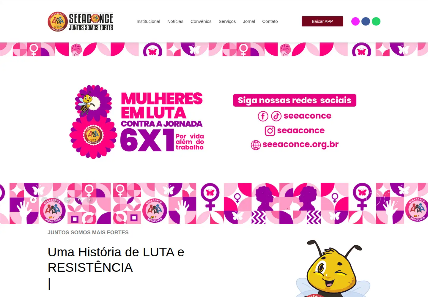 Captured homepage of seeaconce.org.br in the current scan