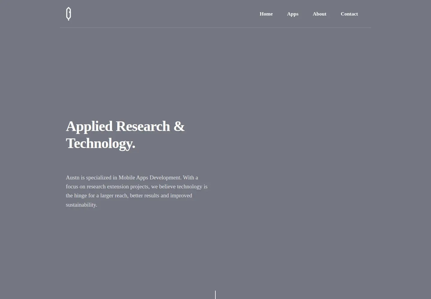 Captured homepage of austn.co in the current scan