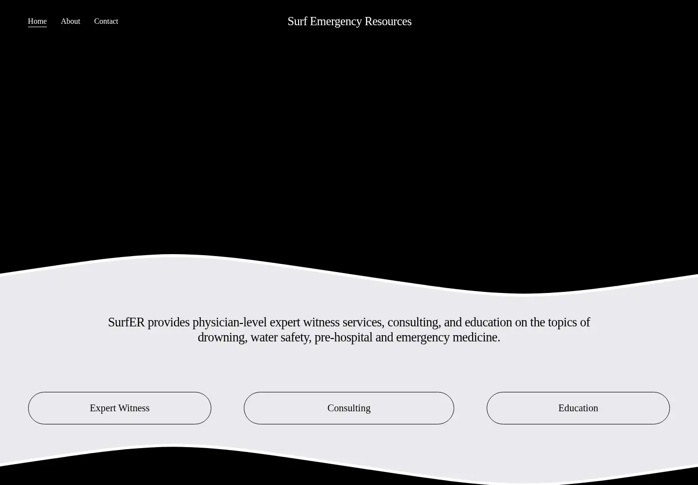 Screenshot of surfemergency.com