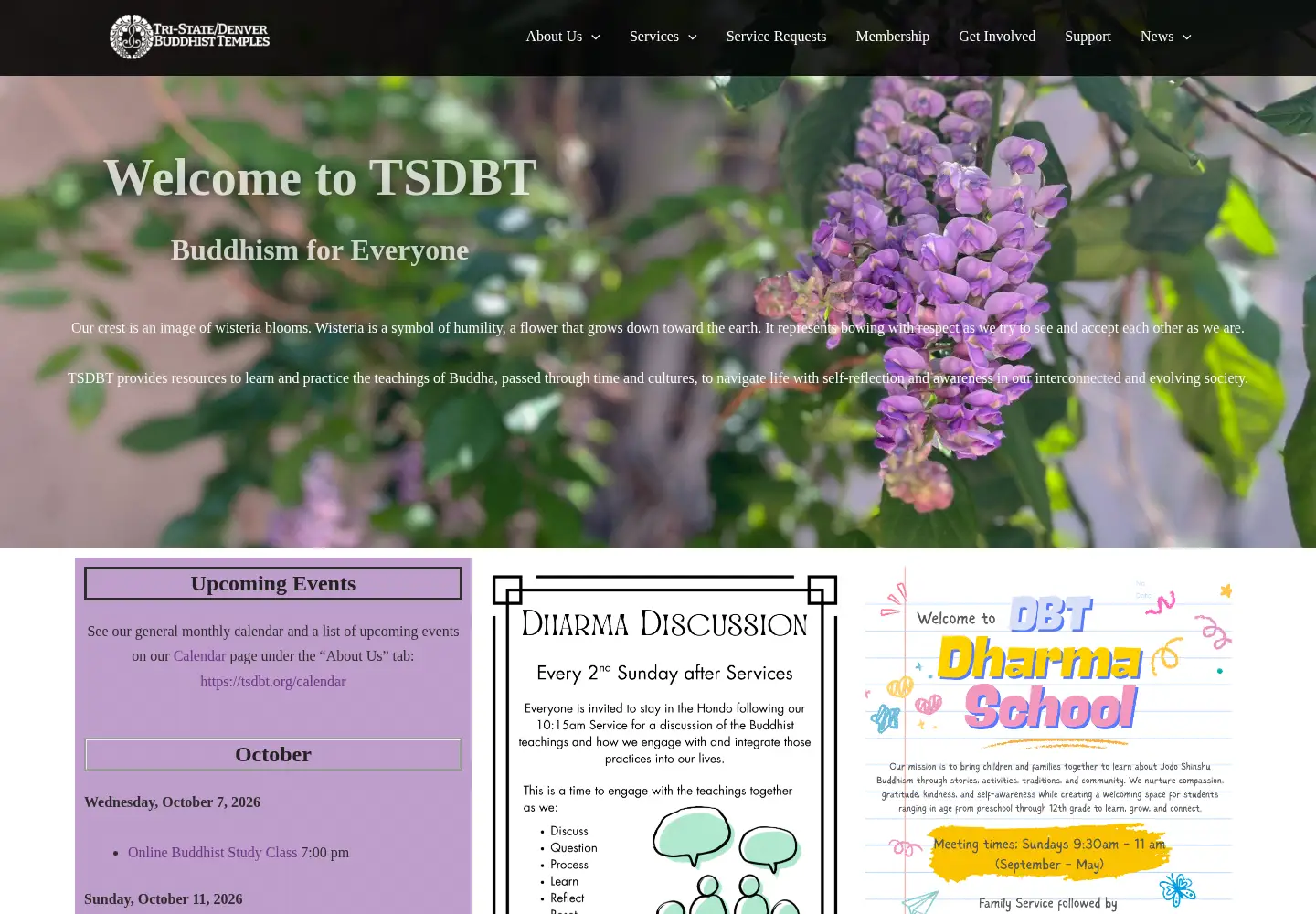 Screenshot of tsdbt.org