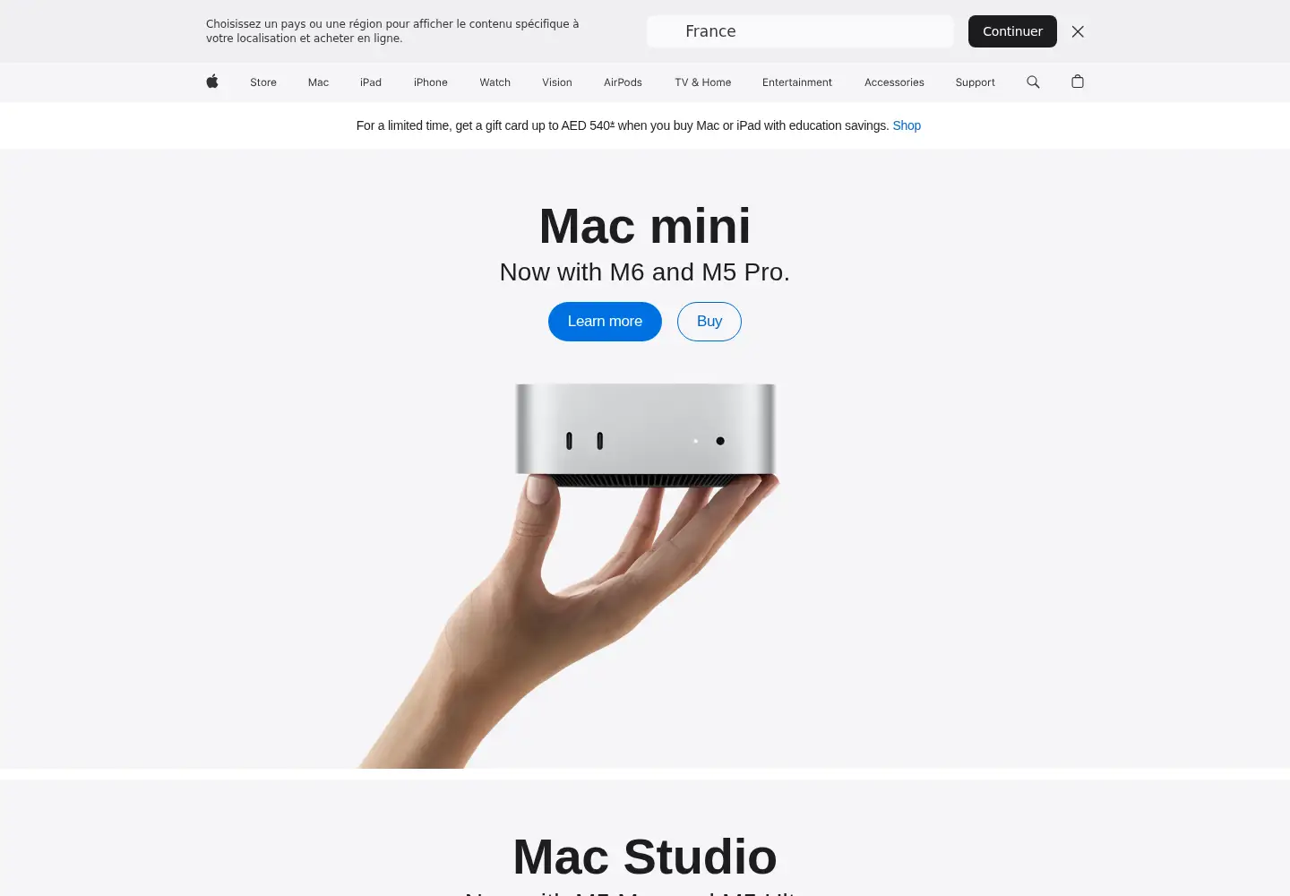 Captured homepage of apple.ae in the current scan