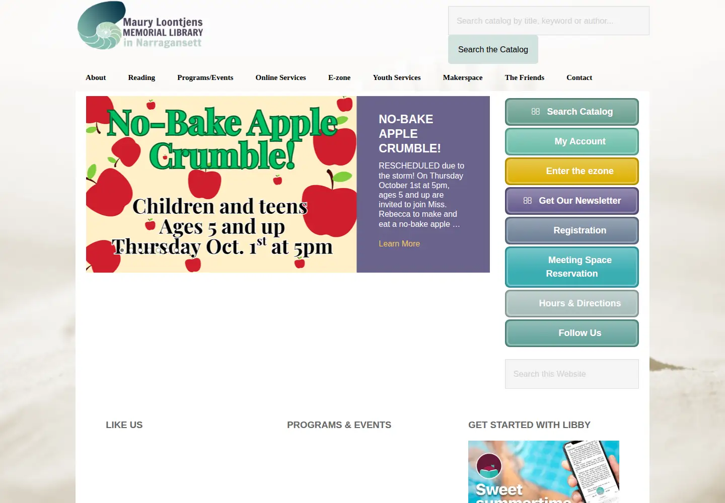 Captured homepage of narlib.org in the current scan
