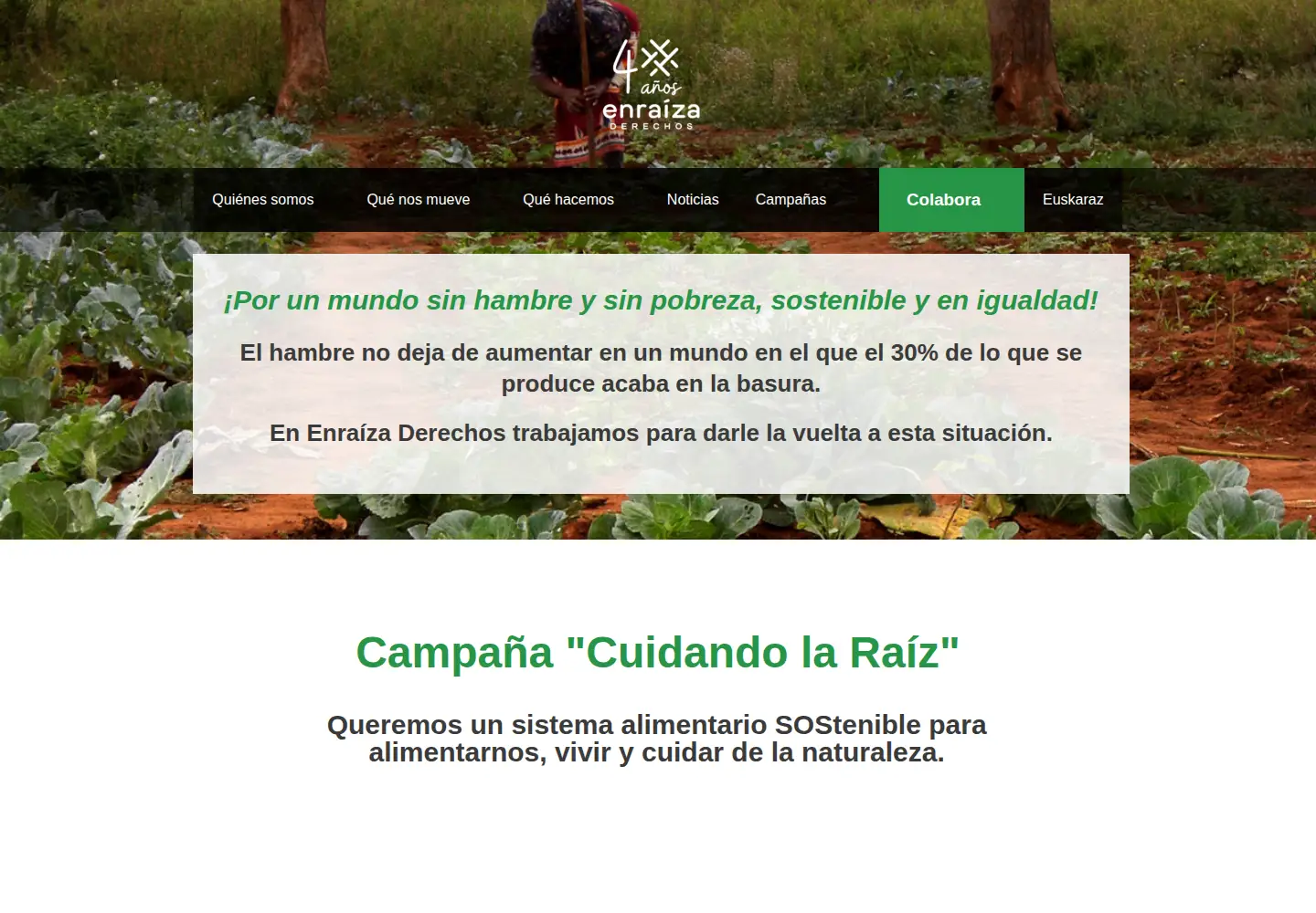 Screenshot of enraizaderechos.org