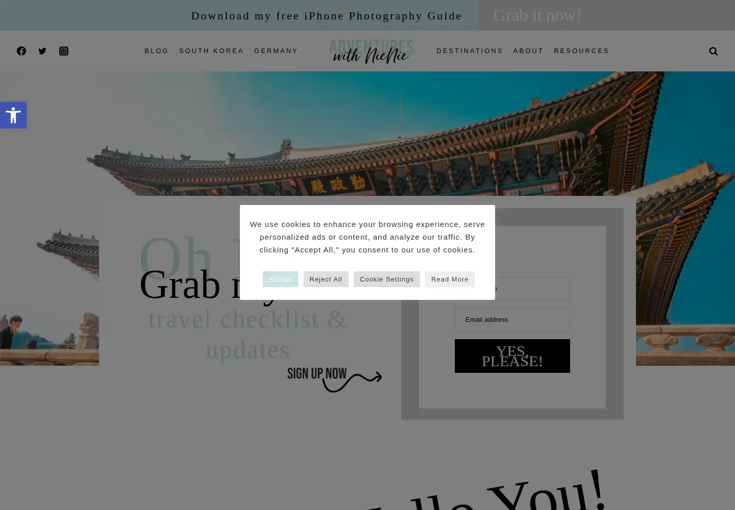 Screenshot of adventureswithnienie.com