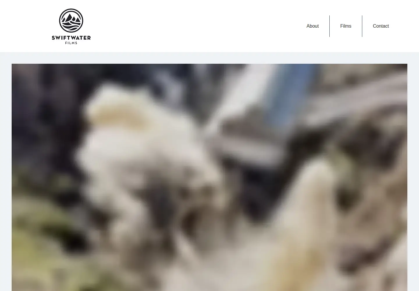 Captured homepage of swiftwaterfilms.com in the current scan