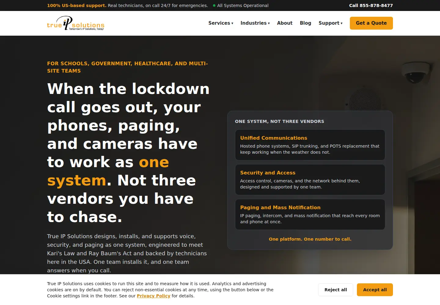 Captured homepage of trueipsolutions.com in the current scan