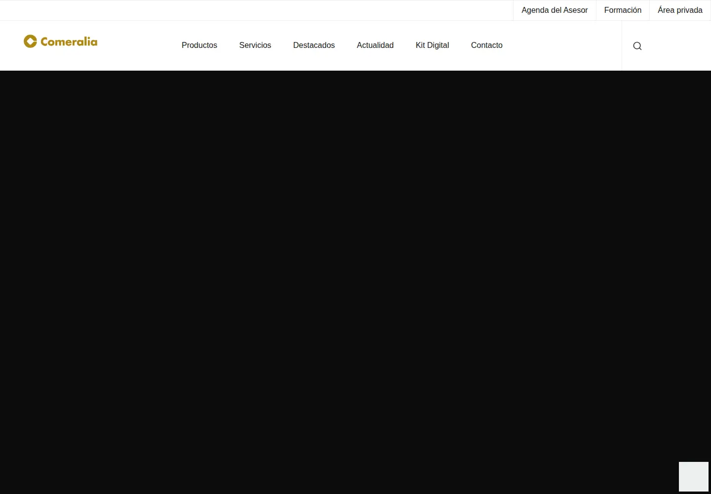 Captured homepage of comeralia.com in the current scan