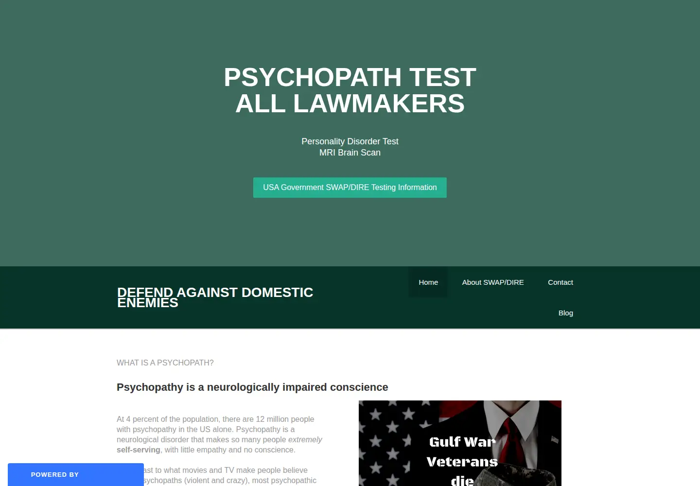 Captured homepage of domesticenemies.org in the current scan