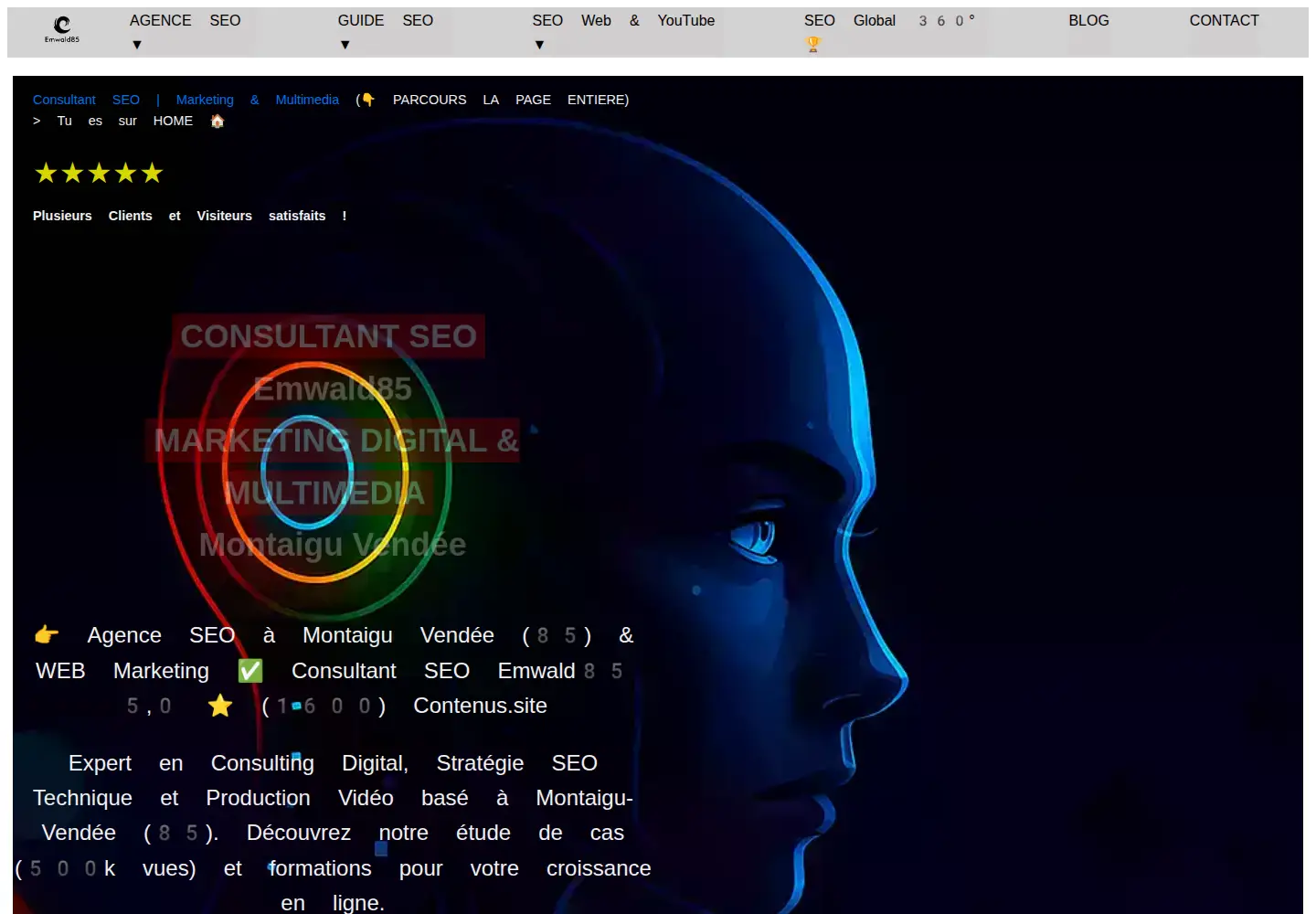Captured homepage of contenus.site in the current scan
