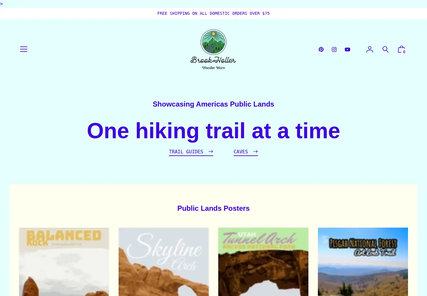 Captured homepage of brookandholler.com in the current scan