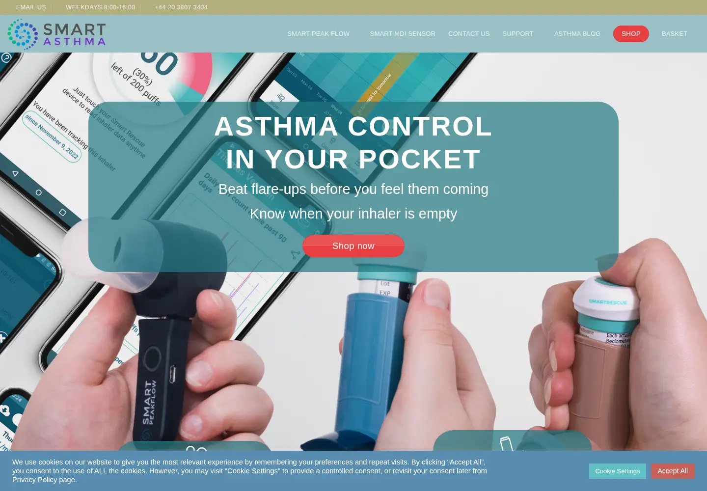 Screenshot of smartasthma.com