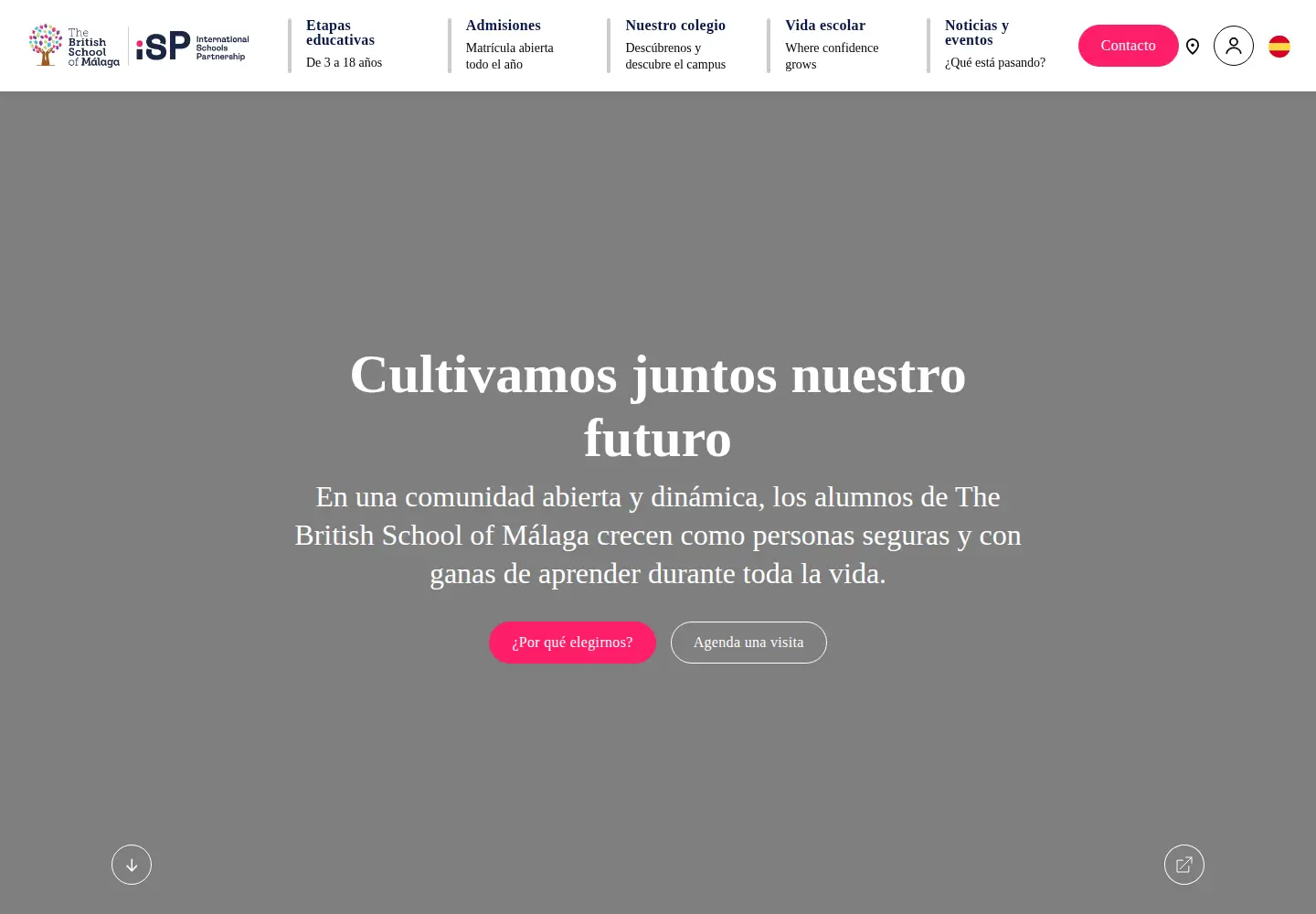 Screenshot of britishschoolmalaga.com