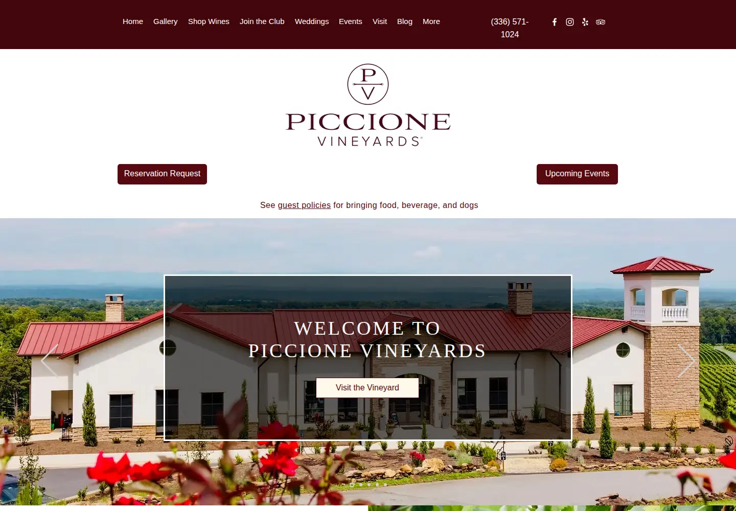 Screenshot of piccionevineyards.com
