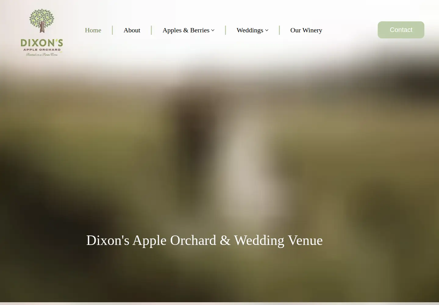 Captured homepage of dixonsapples.com in the current scan