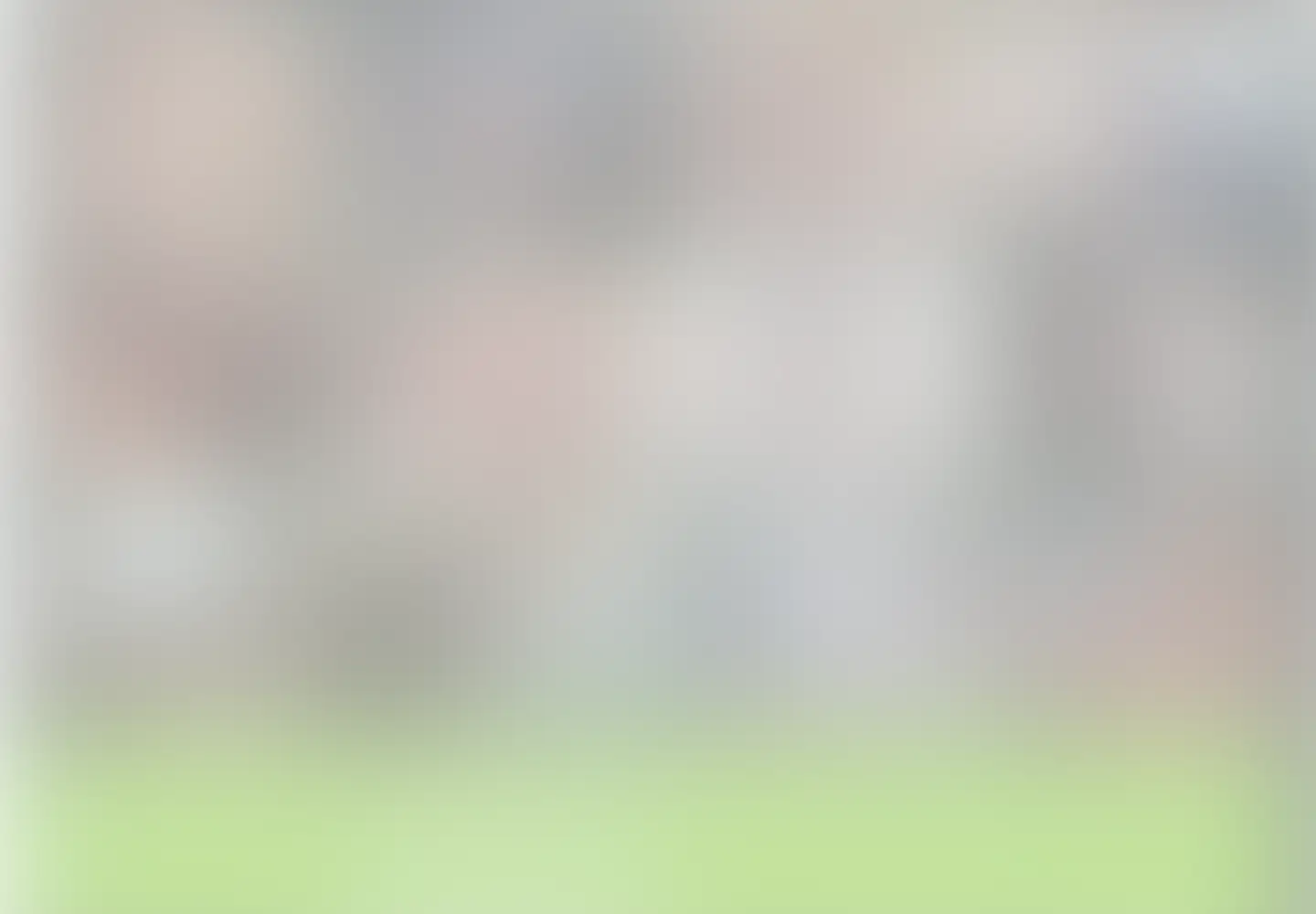 Blurred age-restricted screenshot of gaytube.fun in the current scan