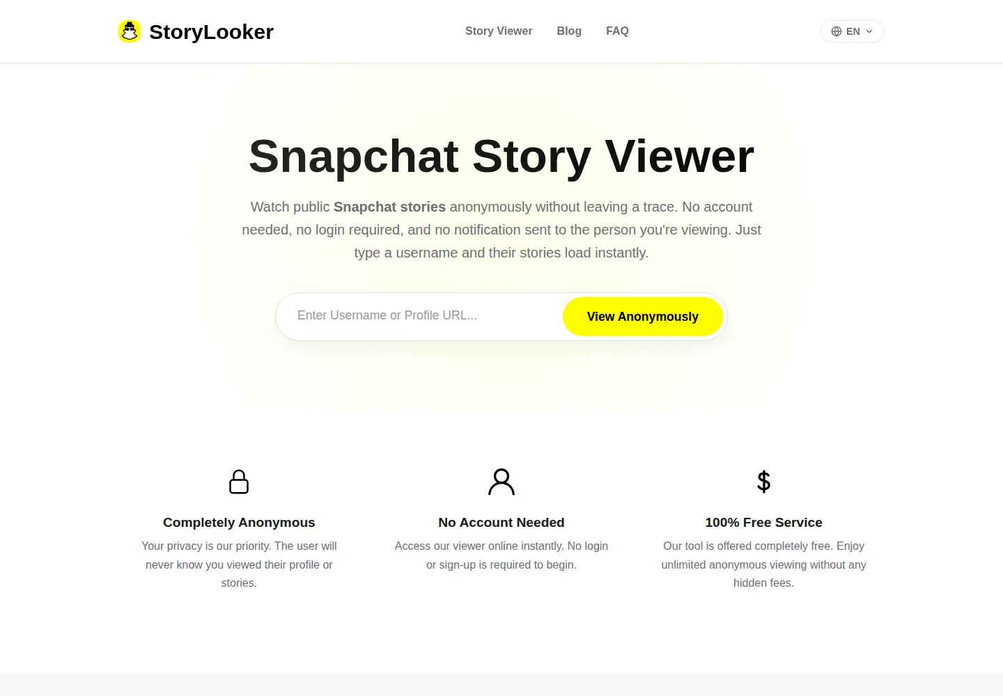 Captured homepage of storylooker.com in the current scan