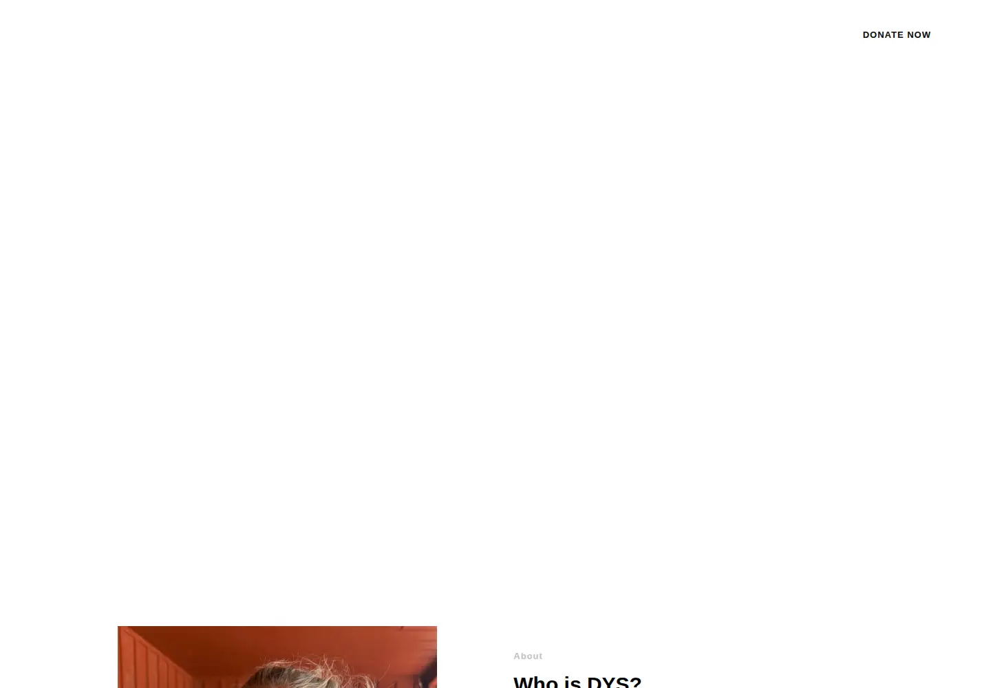 Captured homepage of dys4kids.org in the current scan