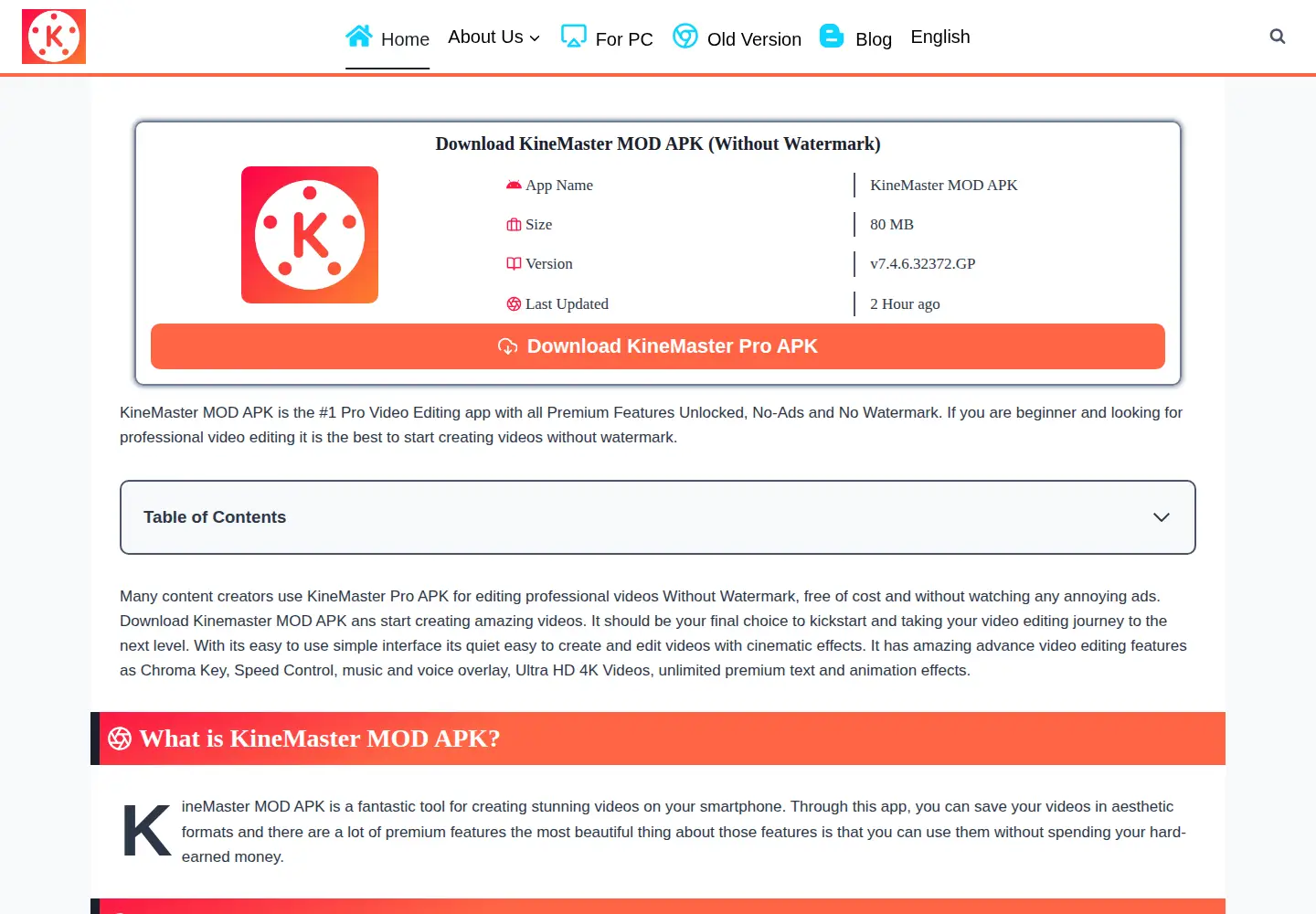 Captured homepage of kinemastr.com in the current scan