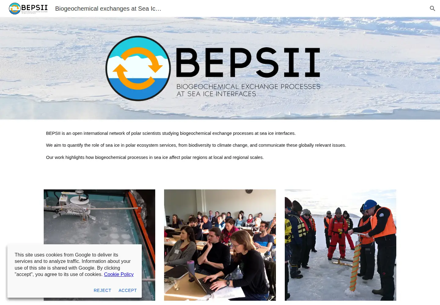 Screenshot of bepsii.org