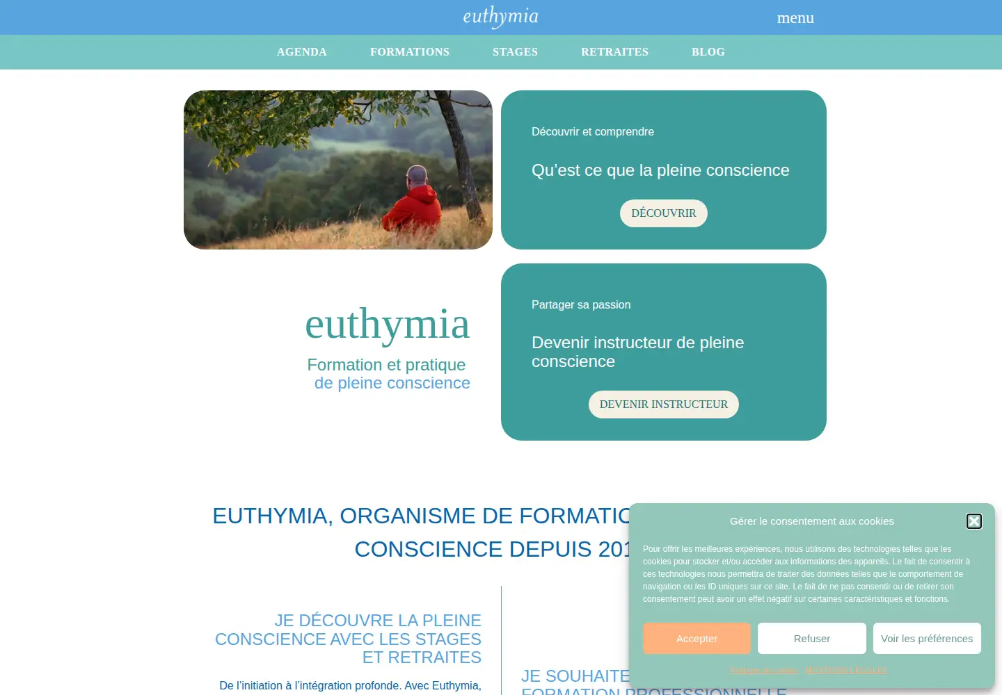 Captured homepage of euthymia.fr in the current scan