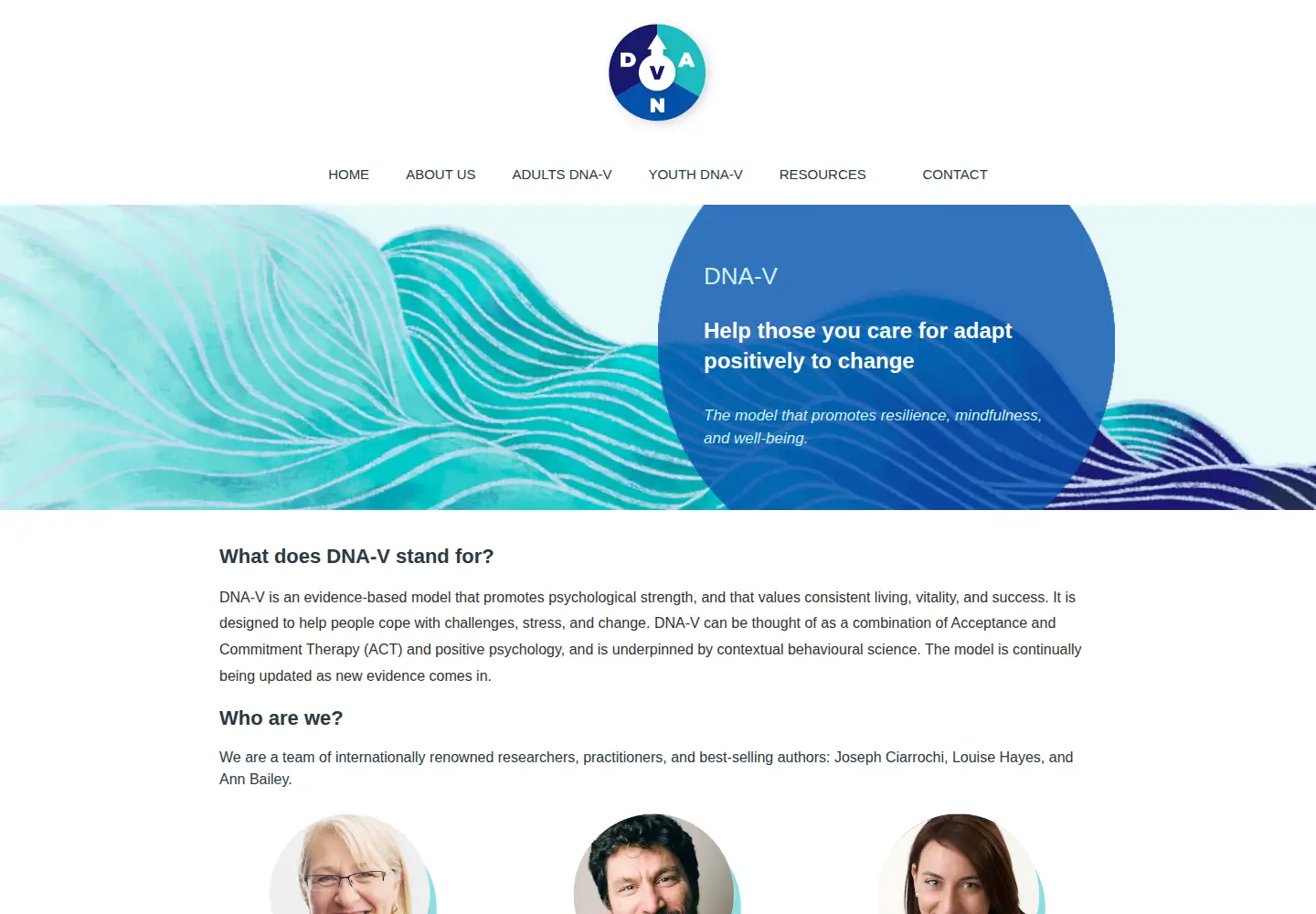 Captured homepage of dnav.international in the current scan