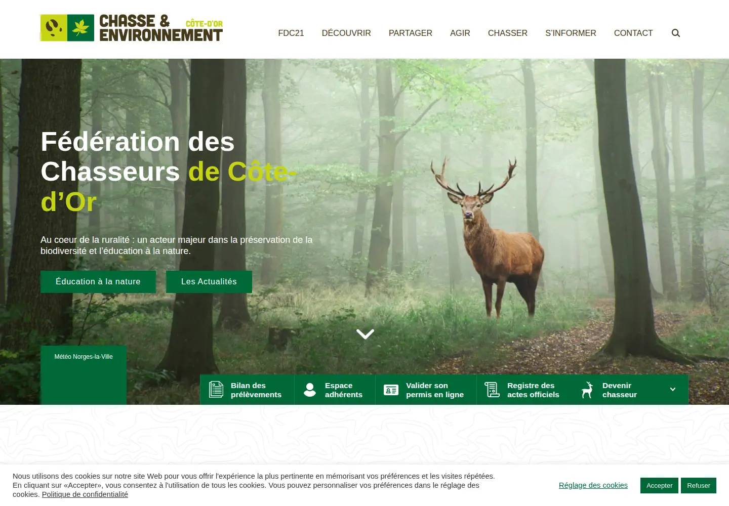 Screenshot of fdc21.com