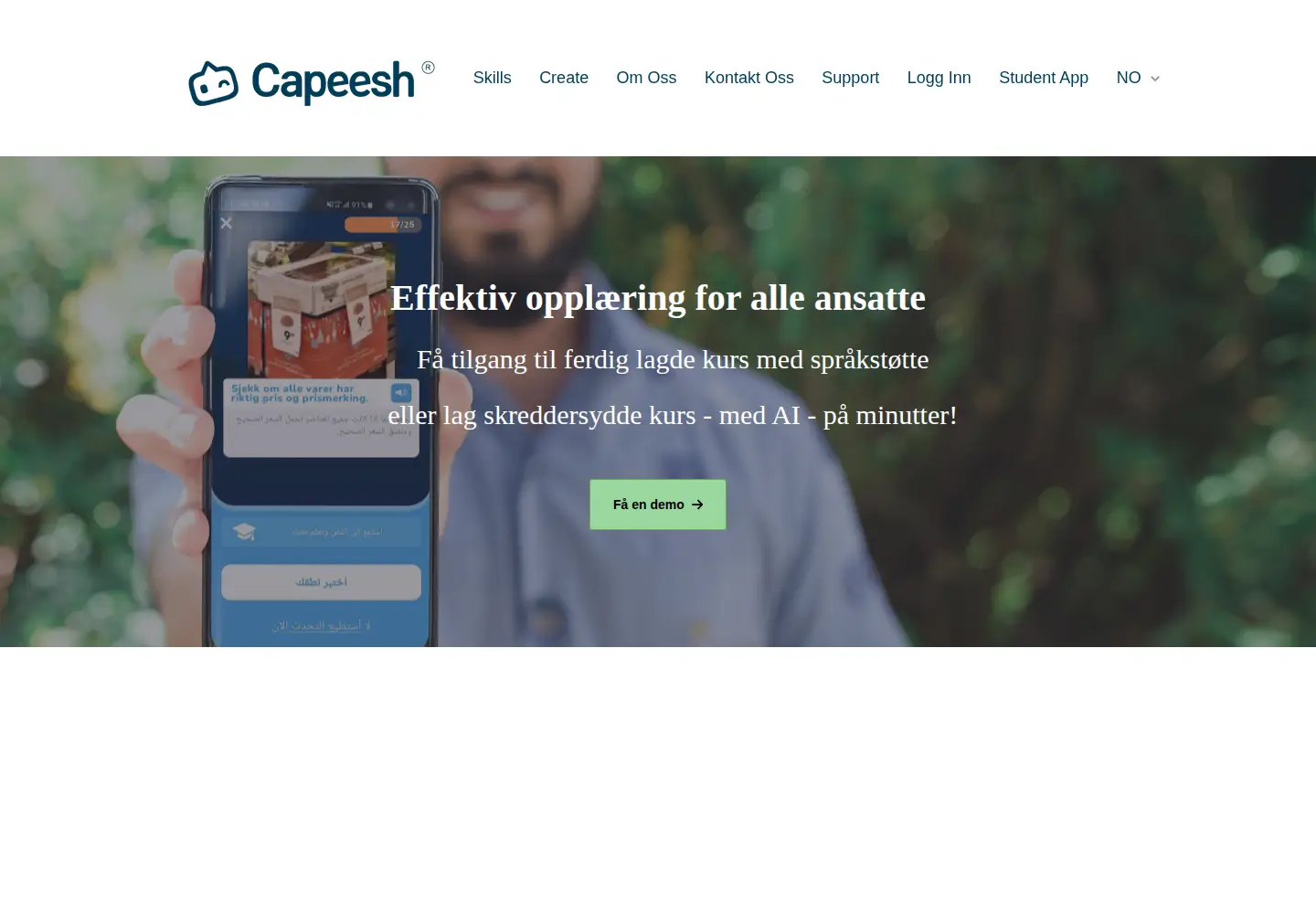 Captured homepage of capeesh.com in the current scan