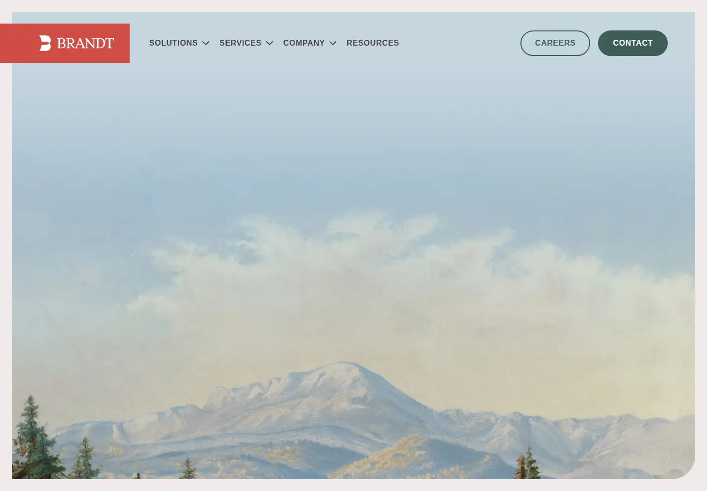Screenshot of brandtinfo.com