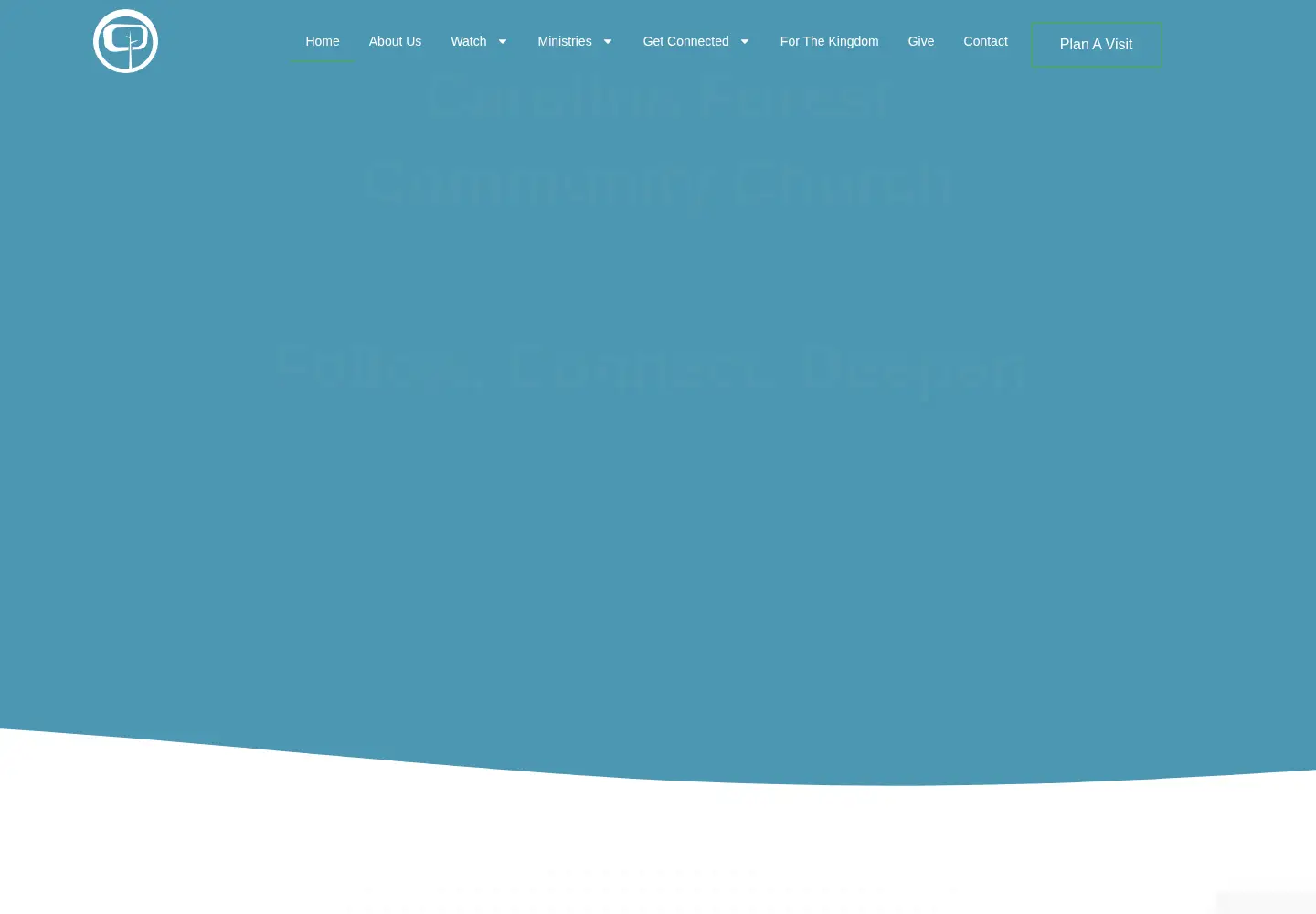 Screenshot of carolinaforest.org