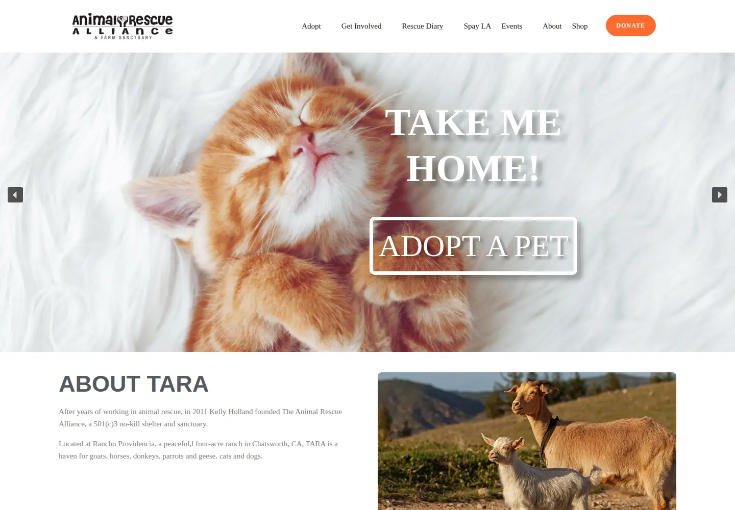 Screenshot of theanimalrescuealliance.org