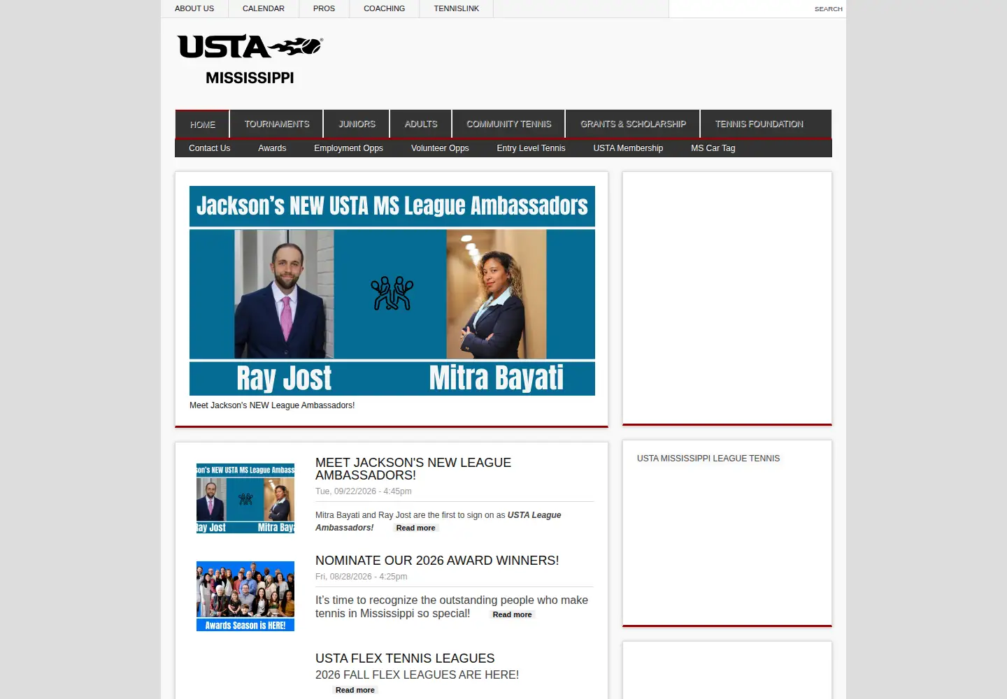 Screenshot of mstennis.com