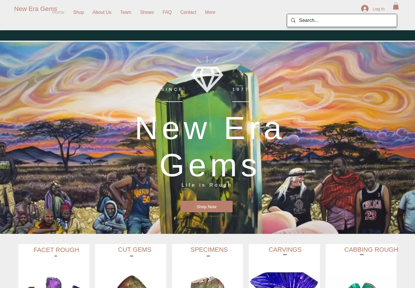 Captured homepage of neweragems.com in the current scan