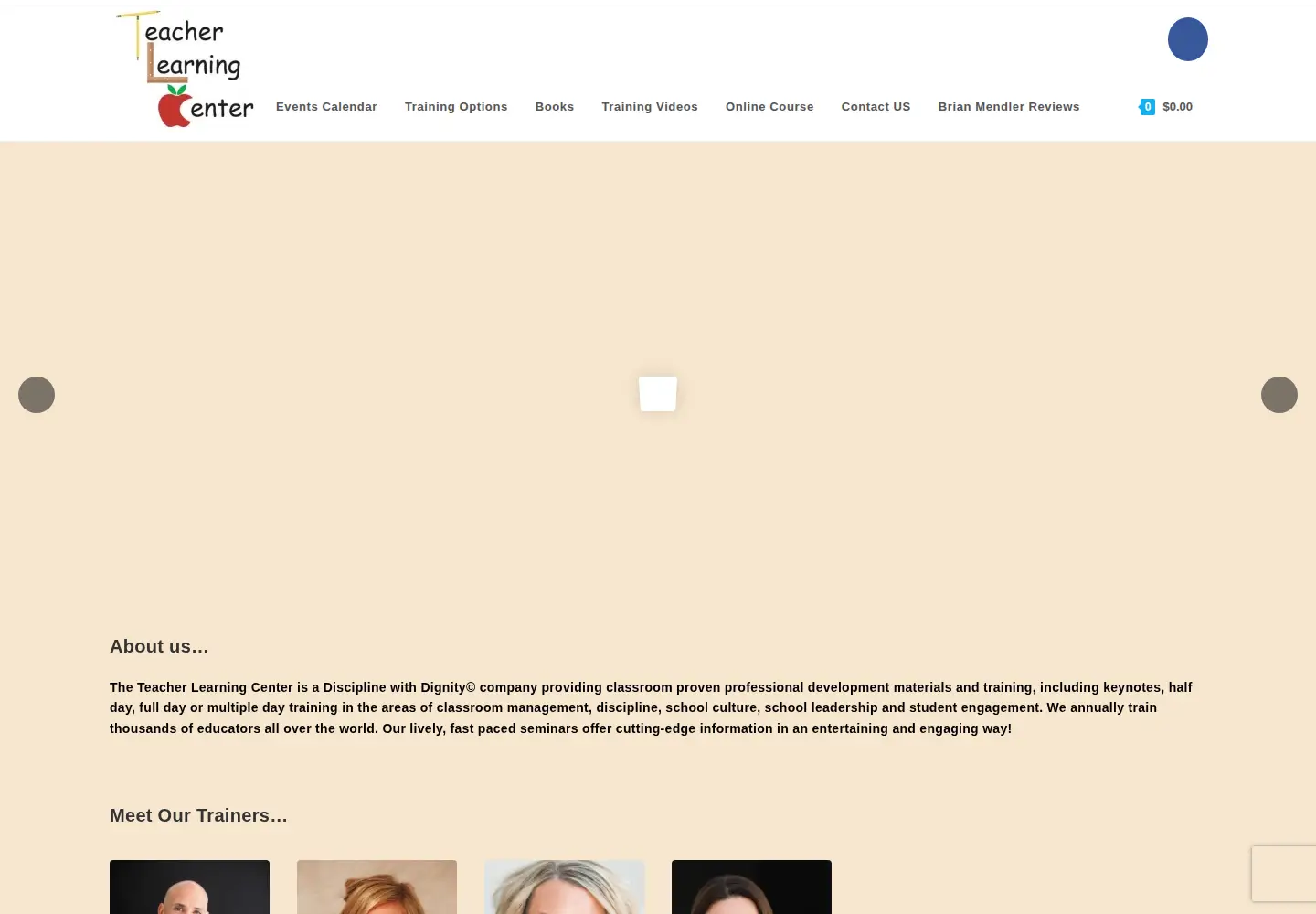 Captured homepage of tlc-sems.com in the current scan