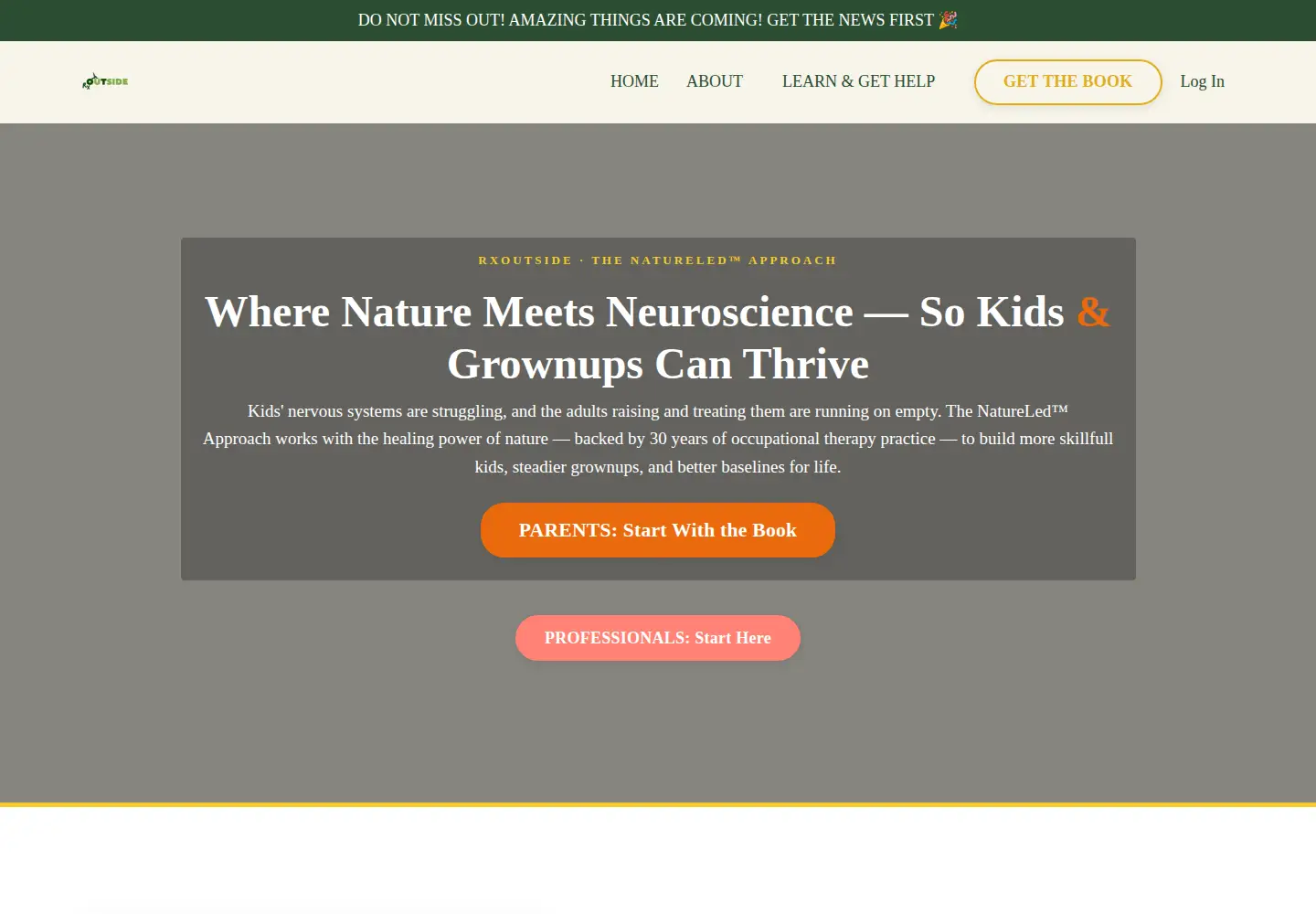 Screenshot of kathleenlockyer.com