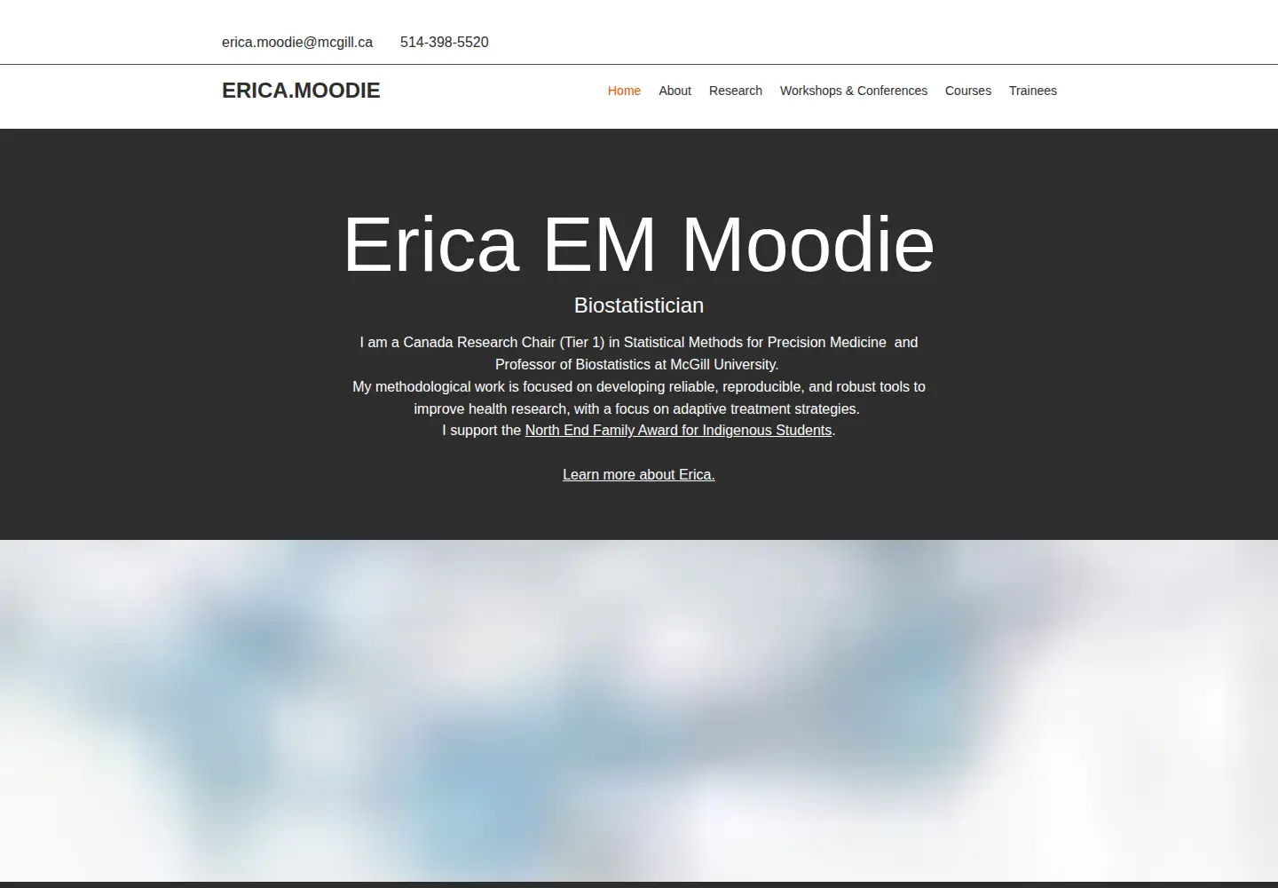 Captured homepage of ericamoodie.com in the current scan