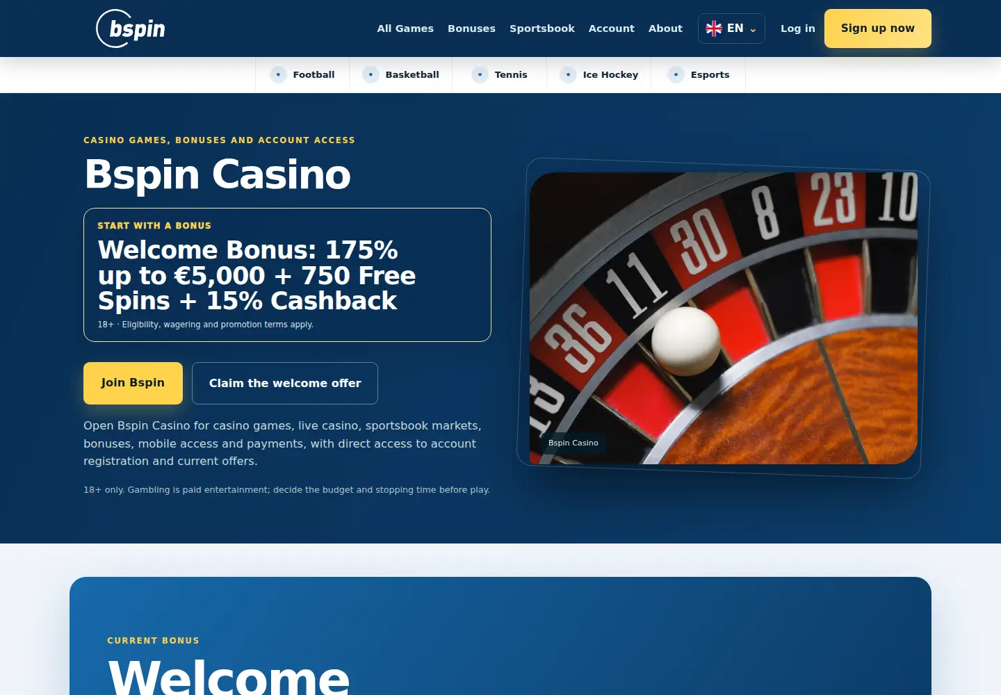 Screenshot of bspin.eu