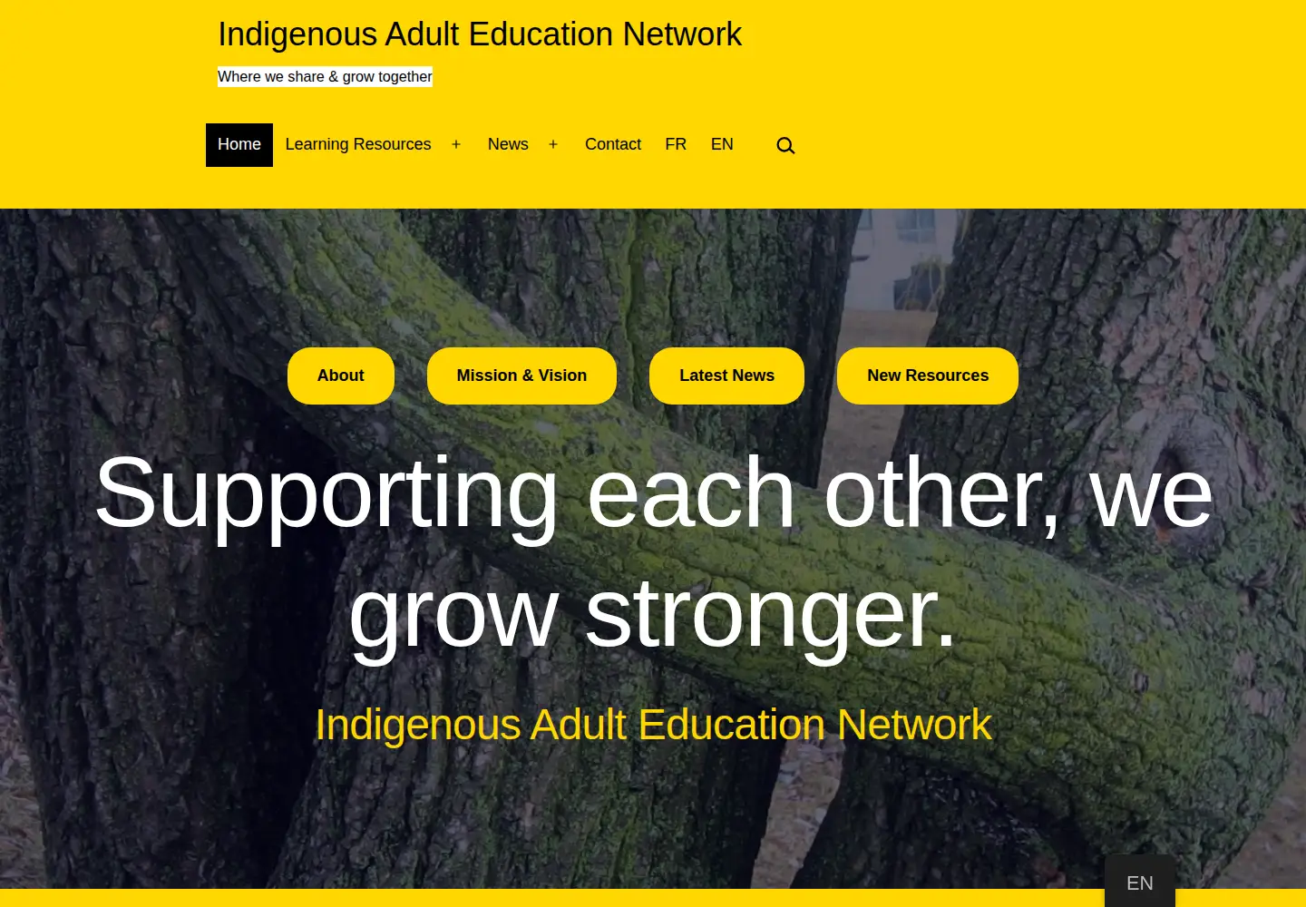 Screenshot of iaen-reaa.org