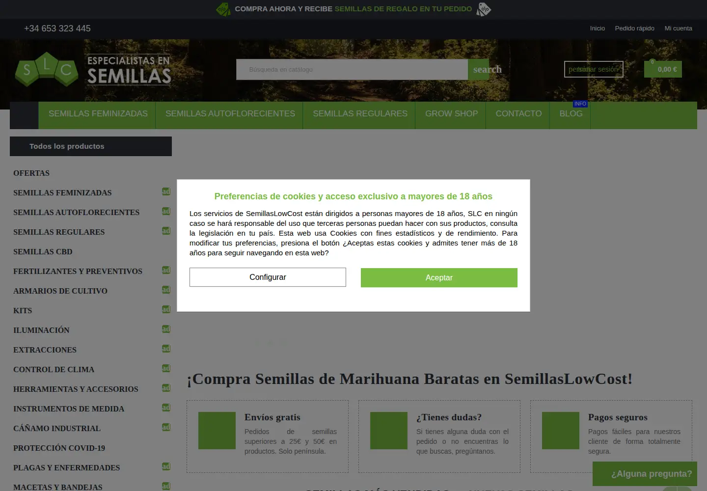 Captured homepage of semillaslowcost.com in the current scan